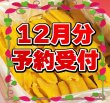 画像1: 紅はるか　平干し５キロ　令和7年12月発送分 (1)