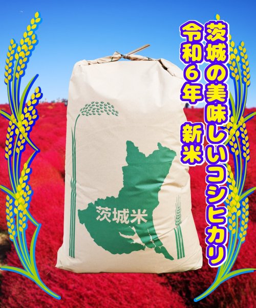 画像1: 令和6年度産　こしひかり玄米　30kg　えり酒店生産直売 (1)