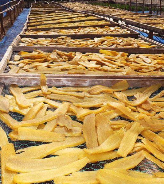 画像4: 紅はるか　平干し５キロ　令和7年12月発送分 (4)