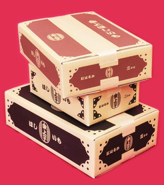 画像7: 紅はるか　平干し５キロ　令和7年12月発送分 (7)