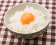 画像5: 令和6年度産　こしひかり5kg　えり酒店生産直売 (5)